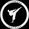 FLYING MMA's profile picture