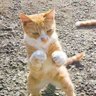 smack profil fotoğrafı