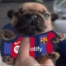 Profilbild von Nacho_gg