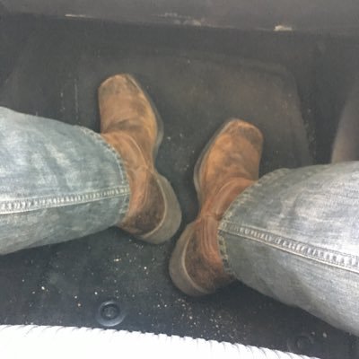 cowboy958265's profile picture
