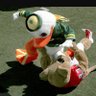 Chris Tesch's profile picture