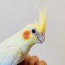 Фото профиля Ritz@パラレルキャリア実践中
