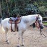 pony nan's profile picture