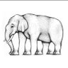Garjor's profile picture