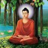 Profilbild von Sumedh wahane