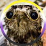 Profilbild von Мори