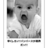 🐼いぶキィィィ🎯 profil fotoğrafı
