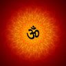 Profilbild von सनातनी न्यूज़