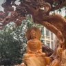 Фото профиля Baliram Bansode