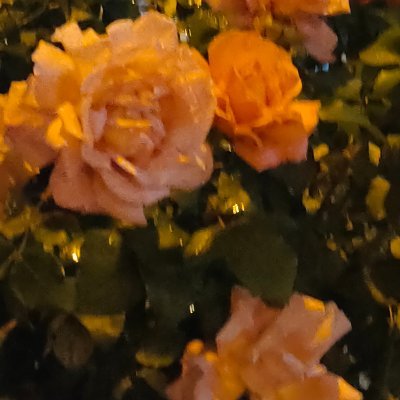 ran_ling2832's profile picture