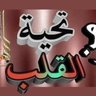 محمد علي's profile picture