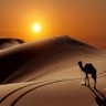 عبدالرحمن ABUFUAZ10 profil fotoğrafı