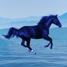 Blue Horse profil fotoğrafı