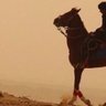 Profilbild von abdullah-alrassi