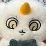 Profilbild von トキョトウオ🪼