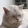 Profilbild von カマダシプリン