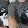 🐈치즈엄마's profile picture