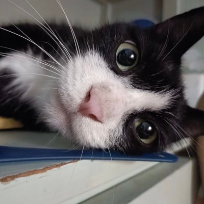 hnsu388913's profile picture