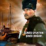 Alikatirci profil fotoğrafı