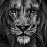 Akljudah's profile picture