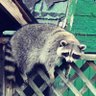 Sparky's profile picture