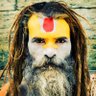 Fred Dref 🧖‍♂️🌻🎏's profile picture