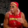 WrestlingIsFun profil fotoğrafı