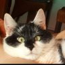 Ellen Kramer's profile picture