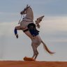 Фото профиля ̨مـٺـ؏ــب