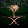 ذمه وضمير's profile picture