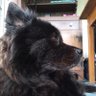 Ralph’s mom's profile picture