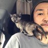 ninigikirishima 木津龍馬's profile picture