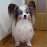 じーみ profil fotoğrafı