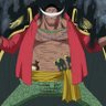 GreyBeard 的头像