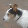 Profilbild von paul