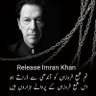 Muhammad Umar Mubarik Ali's profile picture