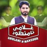 Nasir Hussain Minhas profil fotoğrafı