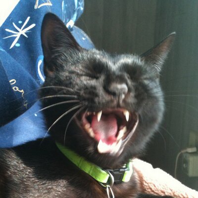 kito708's profile picture