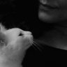 lale kartal 的头像