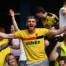 Alfie dibble profil fotoğrafı