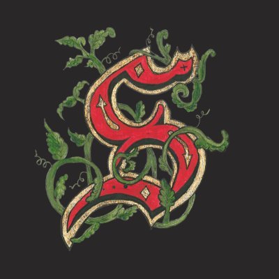Saltburnfilm's profile picture