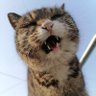 YAELYMC's profile picture