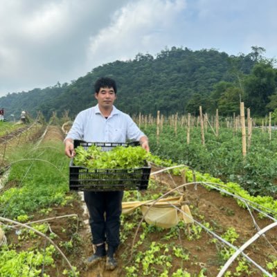 Sase🇻🇳ハノイ ベトナムで野菜販売と浄水器事業展開's profile picture