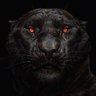 El Gato Negro's profile picture