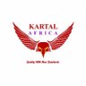 KARTAL AFRICA's profile picture