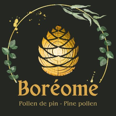 Boreome 🌿 Pine pollen co.'s profile picture