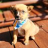 Lalou66 profil fotoğrafı