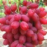 ใดใดในโลกล้วนอนิจจัง 的头像
