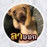 Profilbild von ก็ไม่รู้เหมือนกันนะ