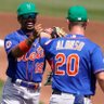 Mets (0-4); impressive! 的头像